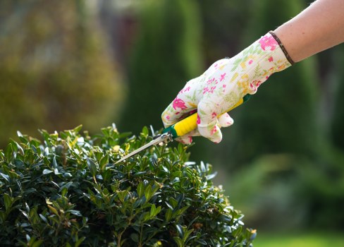 Professional garden clearance team at work in Chingford garden