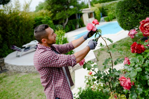 Tools used for hedge trimming services