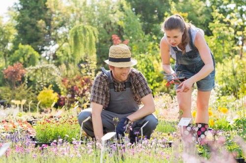 Professional hedge trimming service in Chingford