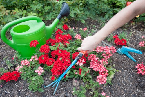 Advanced landscaping tools in use