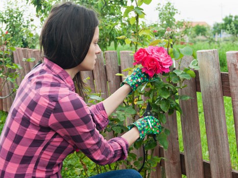 Seasonal landscaping tips for Chingford gardens