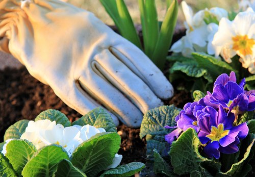 Eco-friendly garden clearance process in Chingford