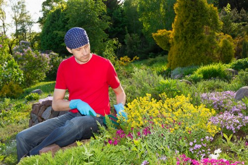 Operative assessing hedge before cutting