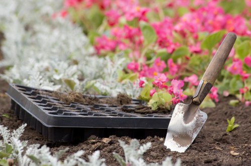 Professional gardener trimming a hedge in Chingford