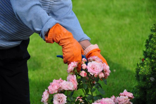 A gardener wearing a grey long-sleeve shirt and bright orange gardening gloves is tending to a cluster of pink roses in a well-maintained garden. The roses, with their soft pink petals, are positioned in the foreground, supported by green foliage. The background features a lush, green lawn with evenly cut grass, contrasting with the darker leafy bushes and shrubs nearby. To the right, a row of neatly trimmed evergreen bushes or small trees provides a natural boundary, with some dark red-flowered plants interspersed among them. The garden scene appears to be in daylight under mild weather conditions, with natural lighting highlighting the vibrant colors of the flowers and greenery. This setting exemplifies typical outdoor garden maintenance work in a residential garden, which could be part of services offered by Hedge Trimming Chingford, located near the Enfield postcode area, emphasizing professional gardening and landscaping care.