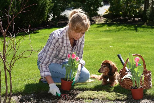 Cost-effective garden clearance services in Chingford